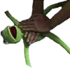 KermitTheFrogEmoji 8