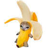 KittenFruitsVegetables 7