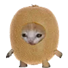 KittenFruitsVegetables 8