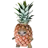 KittenFruitsVegetables 9