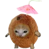 KittenFruitsVegetables 11