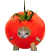 KittenFruitsVegetables 15