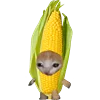 KittenFruitsVegetables 17