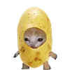 KittenFruitsVegetables 18