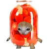 KittenFruitsVegetables 20
