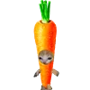 KittenFruitsVegetables 21
