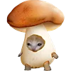 KittenFruitsVegetables 23