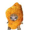 KittenFruitsVegetables 24