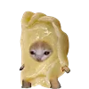 KittenFruitsVegetables 27