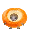 KittenFruitsVegetables 33