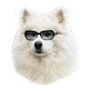 WhiteDogEmoji 1