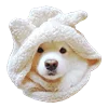 WhiteDogEmoji 10