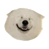 WhiteDogEmoji 18