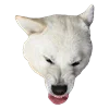 WhiteDogEmoji 19