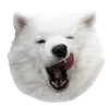 WhiteDogEmoji 20