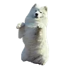WhiteDogEmoji 27
