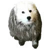 WhiteDogEmoji 29