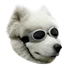 WhiteDogEmoji 31