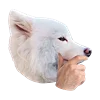 WhiteDogEmoji 35