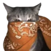 bandanacats 7
