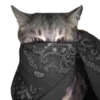 bandanacats 8