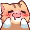 catnyaa 10