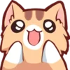 catnyaa 13