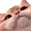 emojipremiumpngg 18