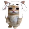 kotenochekmeow 9