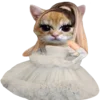 kotenochekmeow 11