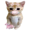 kotenochekmeow 12