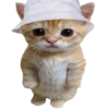 kotenochekmeow 14