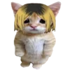 kotenochekmeow 17
