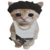 kotenochekmeow 18