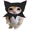 kotenochekmeow 22