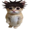 kotenochekmeow 33