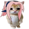 kotenochekmeow 35