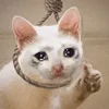 sadcatemoji 8