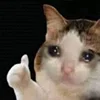 sadcatemoji 14