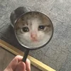 sadcatemoji 24