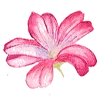 Flowersmoji 9