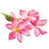 Flowersmoji 15