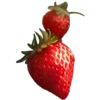Strawberry_time 7