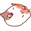 catsmotionsemoji 7