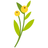 floflowEmoji 30