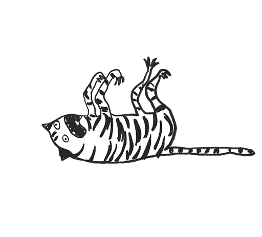 AnxiousTiger 1