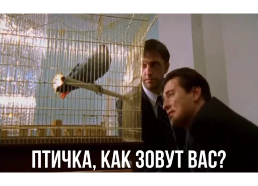 Avatarfilmpresent 32