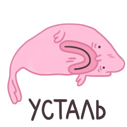 BlobfishByKontalin 5