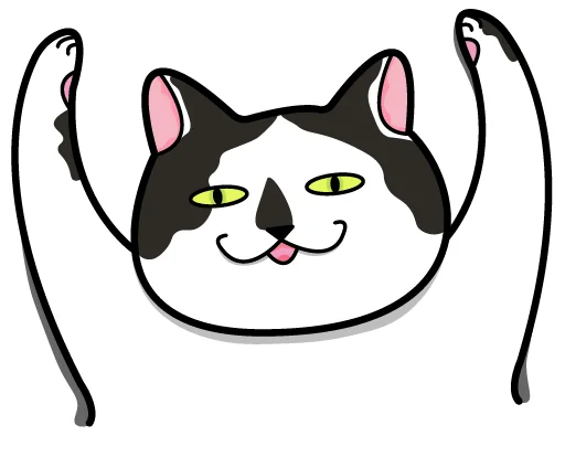 BoBoKitty 3