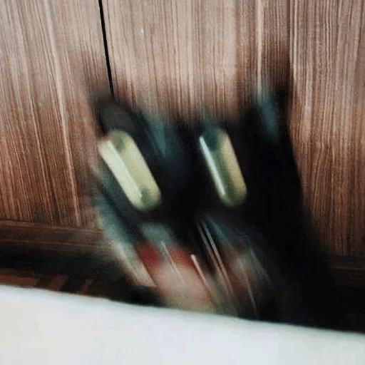 BrokenCats 11